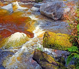 west coast; new zealand; karamea; limestone; arch; river; oparara; basin; high; tree; forest; rock; tannin; brown; colour; bush; water; summer; nature; landscape; stream; boulder; tea; golden