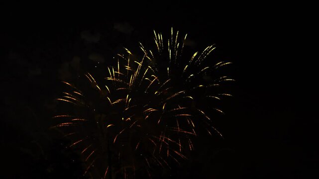 Gold pink blue green sparks scattering fireworks on black night sky. General plan