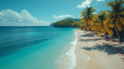 Serene tropical beach with palm trees and turquoise waters