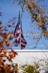 american flag in the wind behind trees