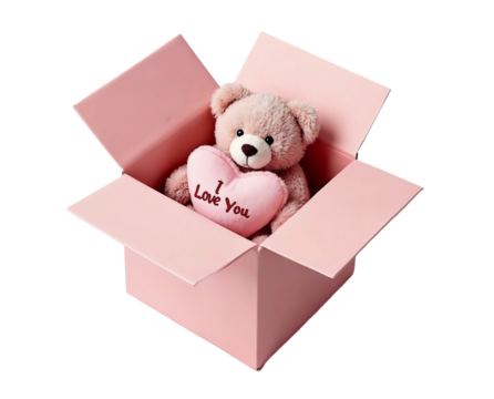 Cute Teddy Bear Gift in Pink Box With Heart Pillow isolated on white background