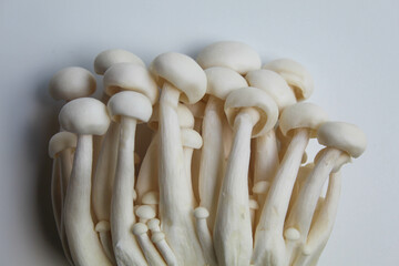 One cluster of bunapi shimeji, or white beech, or white clamshell mushroom, isolated on white background