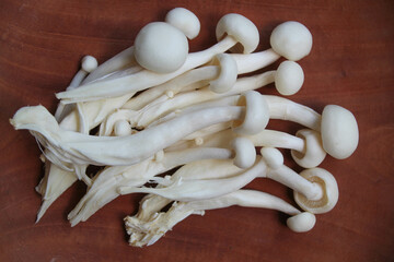 One group of bunapi shimeji, or white beech, or white clamshell mushroom, on wooden background