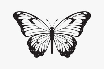 Fototapeta premium Elegant black and white butterfly