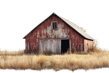 Obraz premium A rustic red barn stands amidst tall, dry grasses, showcasing weathered wood and a quaint country aesthetic against a dark backdrop.