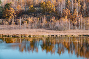 Golden autumn on the shore of Gorodishchenskoye lake. Izborsk. Pskov region, Russia