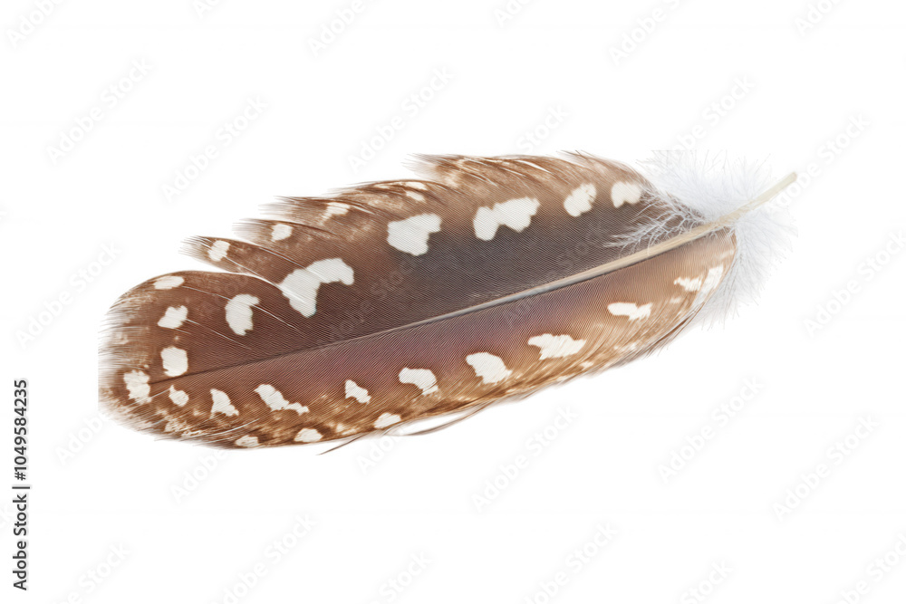 Aufkleber a close-up of a delicate feather showcasing intricate patterns and textures against a black backgrou