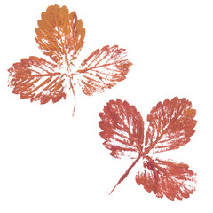 Real tree and grass leaves paint prints. Perfect for autumn, fall decoration, children's creativity, visual aid. Hand drawn botanical imprints. Grunge texture, old paint, rough brush. 