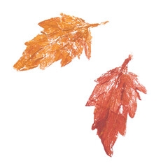 Real tree and grass leaves paint prints. Perfect for autumn, fall decoration, children's creativity, visual aid. Hand drawn botanical imprints. Grunge texture, old paint, rough brush. 