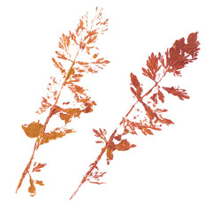 Real tree and grass leaves paint prints. Perfect for autumn, fall decoration, children's creativity, visual aid. Hand drawn botanical imprints. Grunge texture, old paint, rough brush. 