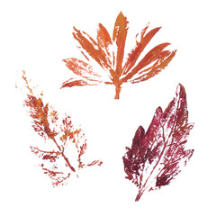 Real tree and grass leaves paint prints. Perfect for autumn, fall decoration, children's creativity, visual aid. Hand drawn botanical imprints. Grunge texture, old paint, rough brush. 