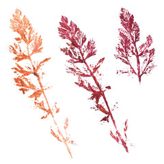 Real tree and grass leaves paint prints. Perfect for autumn, fall decoration, children's creativity, visual aid. Hand drawn botanical imprints. Grunge texture, old paint, rough brush. 