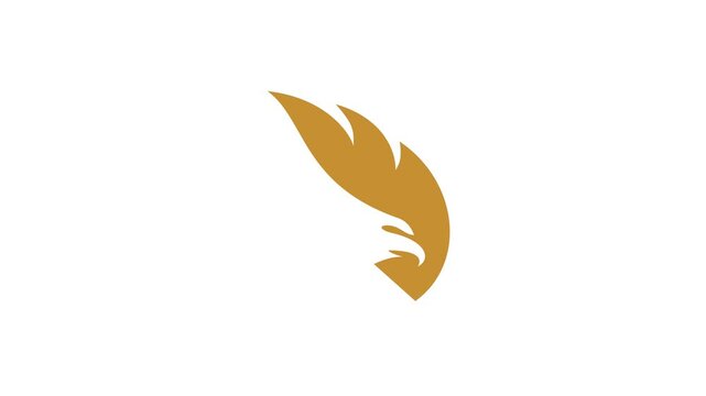 Eagle head in on white background. Eagle head logo animation