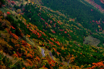 神坂峠の紅葉