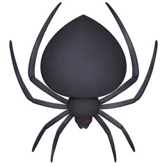 black spider 