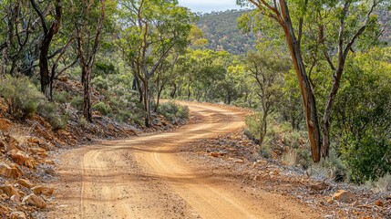 Fototapeta premium Winding Dusty Trail Through a Tranquil Landscape