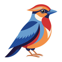 color full bird vectors design , illustration bird art design 