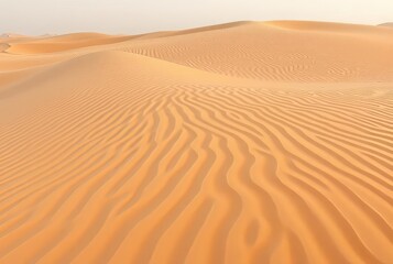 Waves of sand patterns formed by wind in a desert