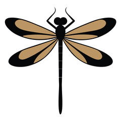 dragonfly illustration