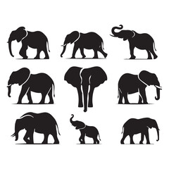 Obraz premium Collection of Elephant silhouette vector