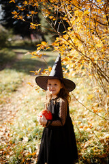Seven years old girl in black dress, pointed hat and pumpkin.