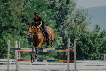 A skilled equestrian rider guides a horse over a colorful hurdle during a sunny day outside,...