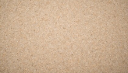 Fototapeta premium Natural textured background in warm beige for creative applications