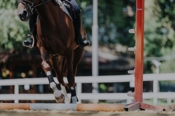 An elegant horse gracefully clears a jump during an outdoor show jumping event, showcasing agility...
