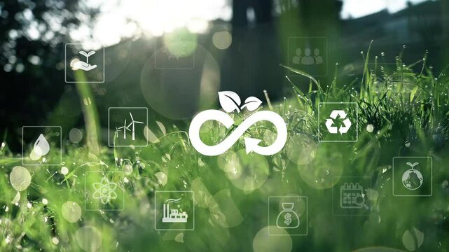 Circular economy concept for future business growth and environmental sustainability and reduce pollution for future business and environmentEliminate waste and pollution.Circulate products and materi