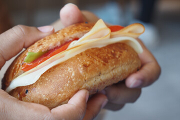 A Deliciously Freshly Prepared Sandwich with Various Toppings Held in One Hand Right Now