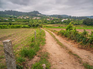 Obraz premium Road through Rural Scenery Portugal