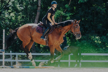 A skilled equestrian rides a powerful horse in an outdoor jumping training session. Capturing the harmony and grace in motion, the scene is set against a vibrant forest backdrop.