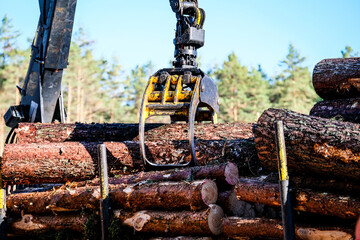 Forwarder tractor for wood transport. Tractor with trailer loaded with logs. Forestry tractor 