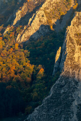 Autumn scene in the mountains, colourful trees.
