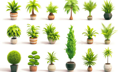 Fototapeta premium Plant shoot, potted houseplant, tree, grass, 3d cartoon icon set white background
