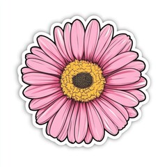 Obraz premium Pink flower with yellow center on white background