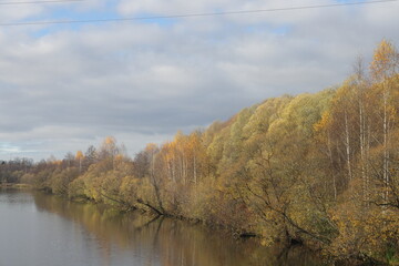 autumn trees with yellow foliage on the bank of a quiet river, birch grove, reflection, October 2024, 3