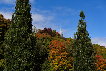 Autumnal Hills above Sainte-Anne-de-Beaupr&eacute;