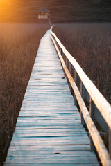 Old wooden boardwalk with a railing on the side and watchtower in the Sic reed reservation, Cluj ,...