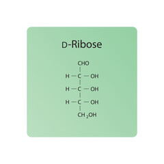 D-Ribose skeletal structure diagram.Sugar compound molecule scientific illustration.