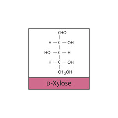 D-Xylose skeletal structure diagram.Sugar compound molecule scientific illustration.