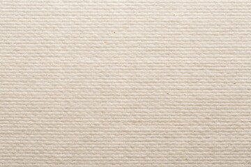 Minimalistic white canvas texture background with subtle horizontal lines, ideal for clean and simple background designs and presentations.