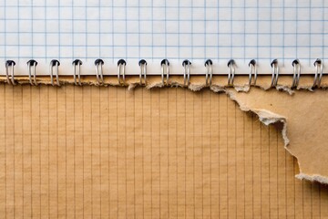 Close-up of torn notebook edge with grid and kraft paper. Ideal background for educational, vintage, or texture-based design projects.