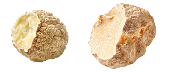 Fresh white alba truffles isolated on white background, great for culinary and gourmet themes.