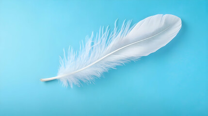 Obraz premium White Feather Floating on Blue Background