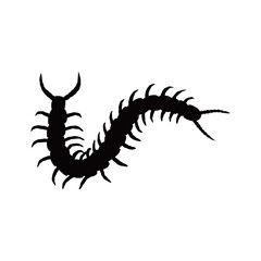 centipede silhouette design. millipede sign and symbol.