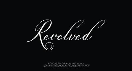 Hand drawn vector alphabet. Modern monoline signature script font. Elegant Signature Font. Best Alphabet Beautiful Calligraphy Signature Font lettering