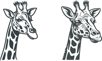 Set of two monochrome illustrations of giraffe heads isolated on white background wildlife wild animal mammal mascot logo tattoo vintage woodcut style vector illustration for design tshirt print