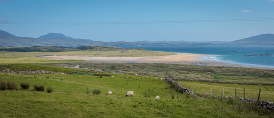 Doovilra, Ireland - June 29 2024 