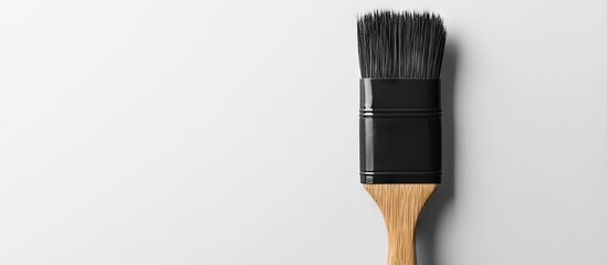 Silicone Oil Brush with Wooden Grip. with copy space image. Place for adding text or design